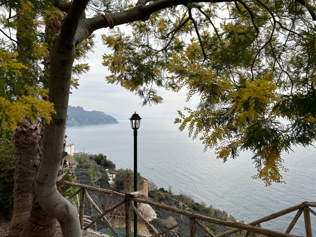 Villa Hermosa Costiera Amalfitana Exterior photo